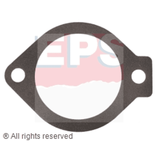 1890691 EPS Прокладка термостата