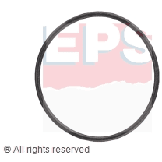 1890705 EPS Прокладка термостата