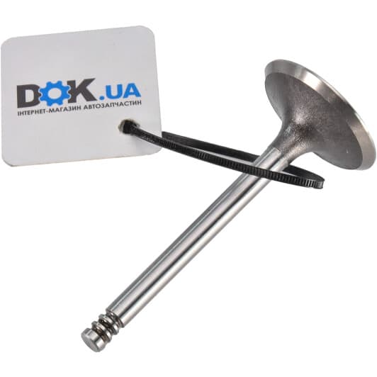 V94079 AE Впускной клапан