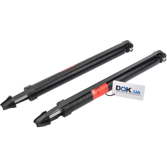 JGT1316T TRW Амортизатор