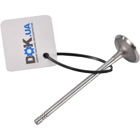 R6663/S Freccia Впускной клапан