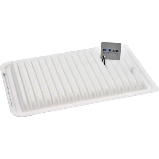 RD1340WA9579 Rider Воздушный фильтр