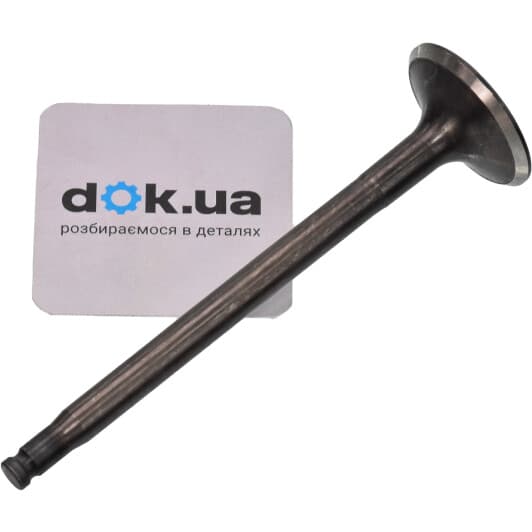 R6173/SNT Freccia Впускной клапан