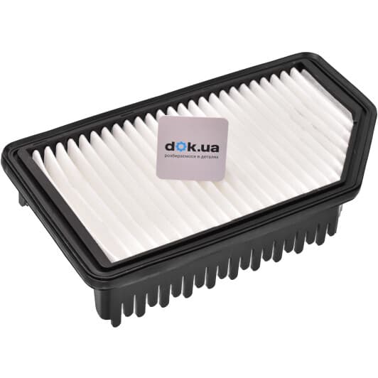 RD1340WA9772 Rider Воздушный фильтр