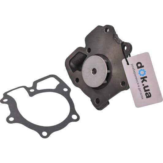 RD150165293 Rider Помпа