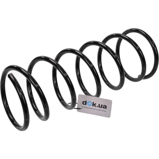 4142200500 JP Group Пружина подвески