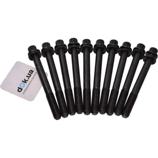 115-08-802 Ashika Болт ГБЦ