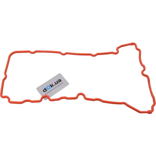 71-38172-00 Reinz Прокладка клапанной крышки