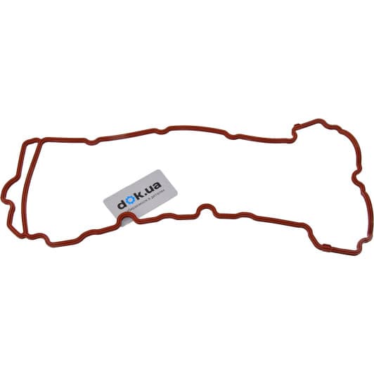 71-38171-00 Reinz Прокладка клапанной крышки