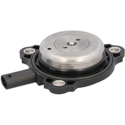 187787 Febi Центральный магнит шестерни распредвала