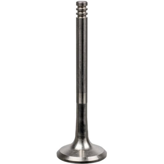 19996 Febi Випускний клапан