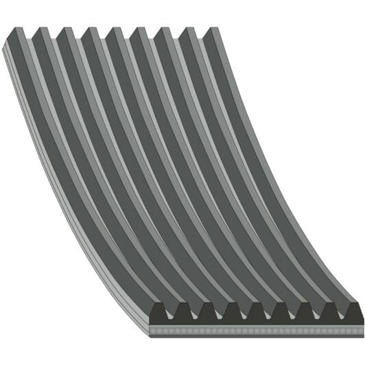 29084 Febi Поликлиновой ремень