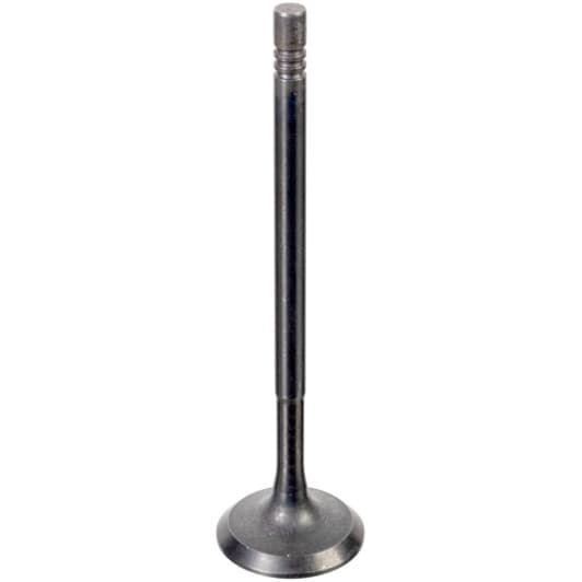 176538 Febi Впускний клапан