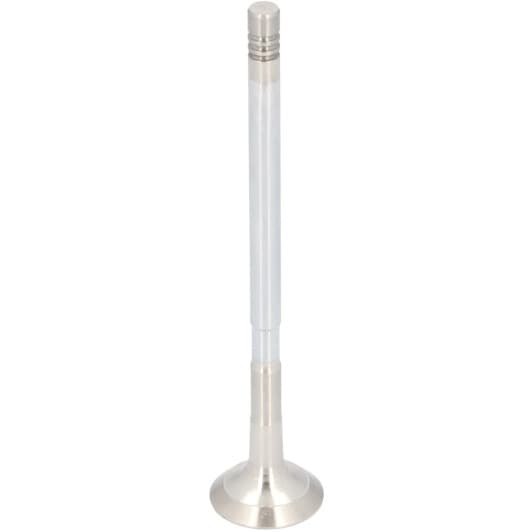 186237 Febi Випускний клапан