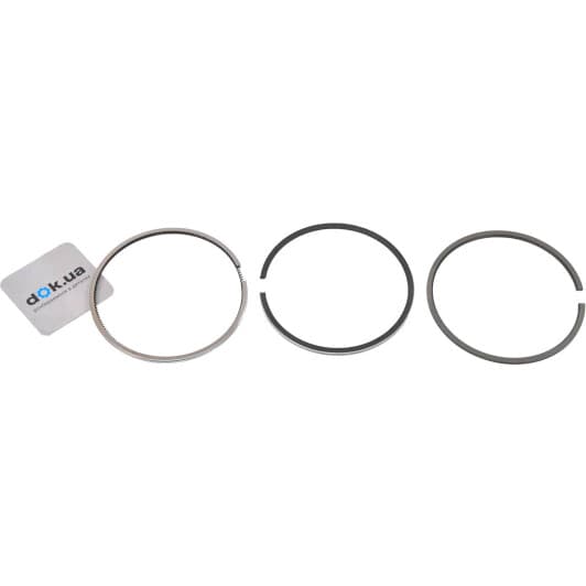 fr10500900 Freccia Комплект поршневых колец