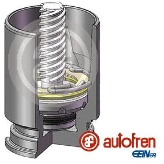 d02523k Autofren Seinsa Поршень тормозного суппорта