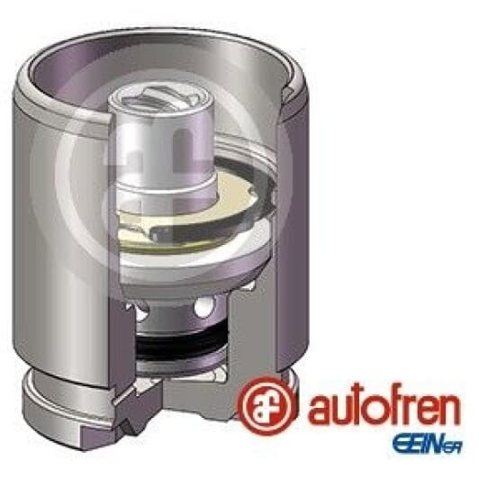 d025120k Autofren Seinsa Поршень гальмівного супорта