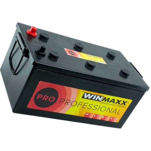 Акумулятор Winmaxx 6 CT-190-R Professional Pro PRO-195-MP