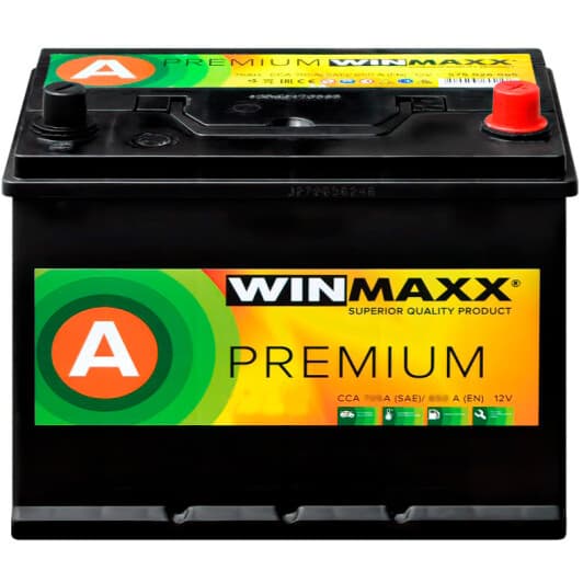 Аккумулятор Winmaxx 6 CT-100-R Asia A-100-MP