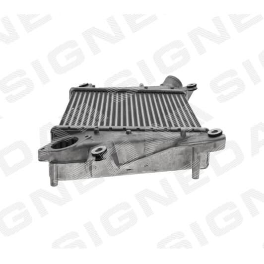 ri96527 Signeda Интеркулер