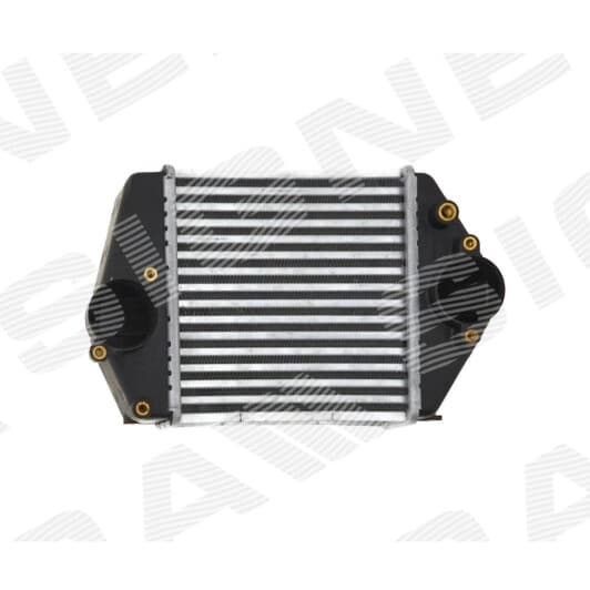 ri96570 Signeda Интеркулер