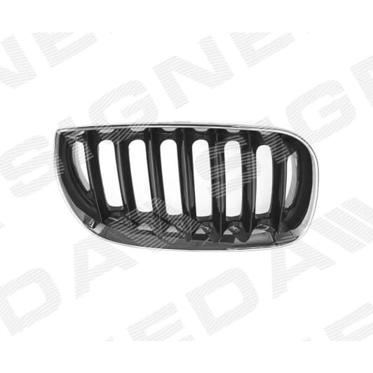 pbm07040gbr Signeda Решітка радіатора для BMW X3