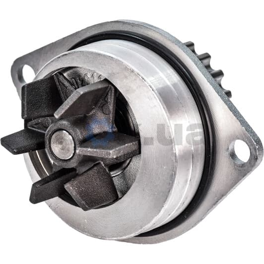 C113 Dolz Помпа