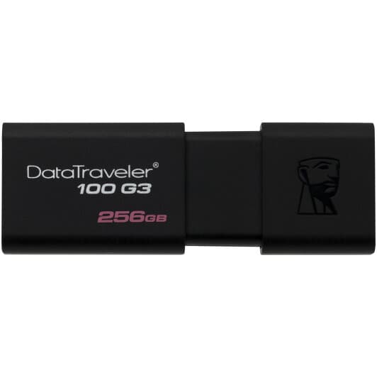 Флешка Kingston DataTraveler 100 G3 256 ГБ
