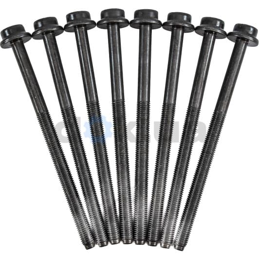 14-32120-02 Reinz Болт ГБЦ