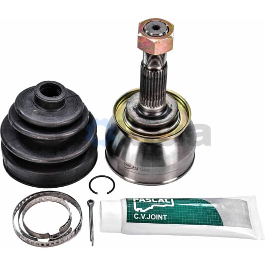 G11006PC Pascal ШРУС