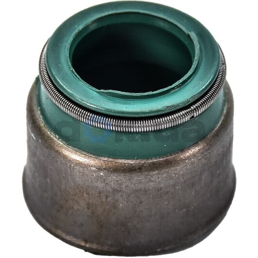 50-319312-00 Goetze Сальник клапана