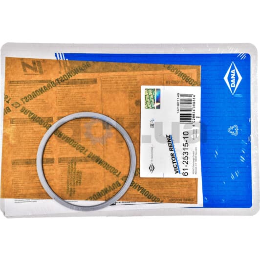 61-25315-10 Reinz Прокладка ГБЦ