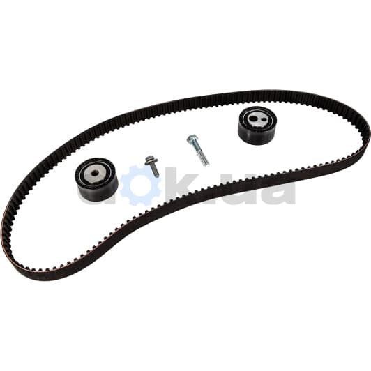 530 0234 10 INA Комплект ремня ГРМ