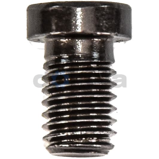 34111123072 BMW / MINI Болт кріплення гальмівного диска