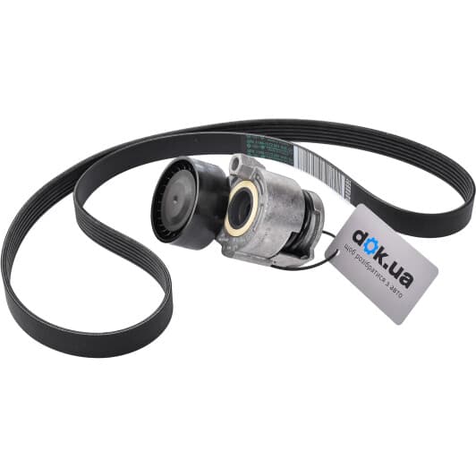 117203694R Renault / Dacia Натяжний ролик поліклинового ременя