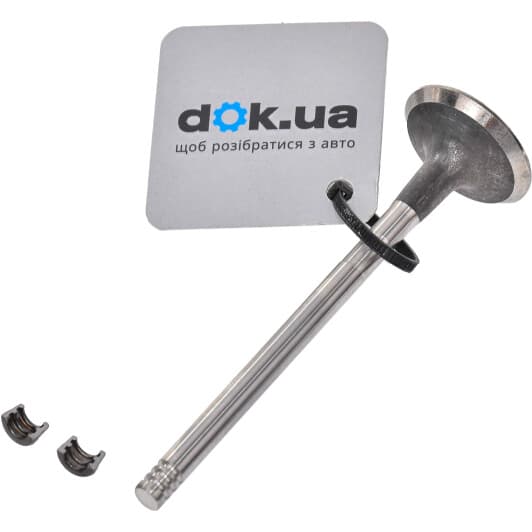 132024905R Renault / Dacia Випускний клапан