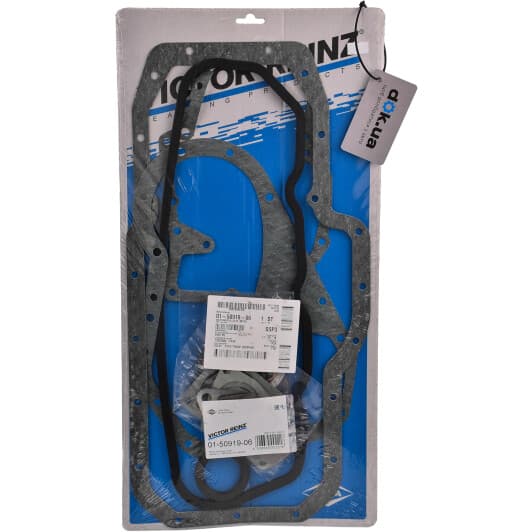 01-50919-06 Reinz Комплект прокладок полный