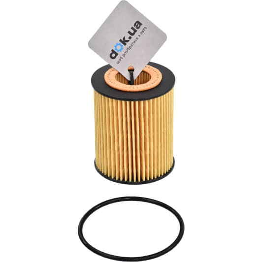 10-ECO017 Ashika Масляный фильтр