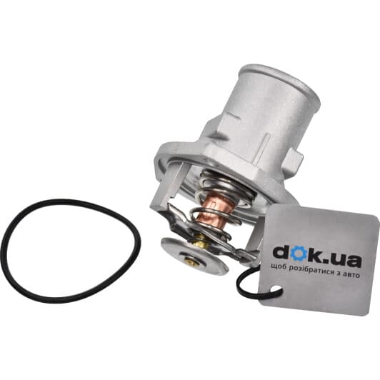 RD1517597992 Rider Термостат