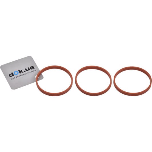 11-11551-01 Reinz Комплект прокладок впускного коллектора