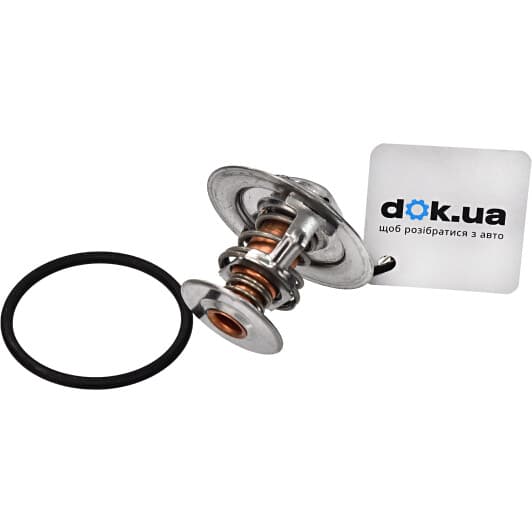 8620 23482 Triscan Термостат