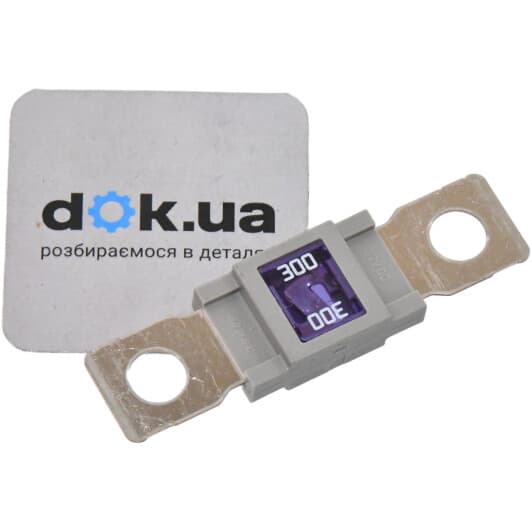 Запобіжник автомобільний Bosch 1987531007 FG maxi (mega) 300A