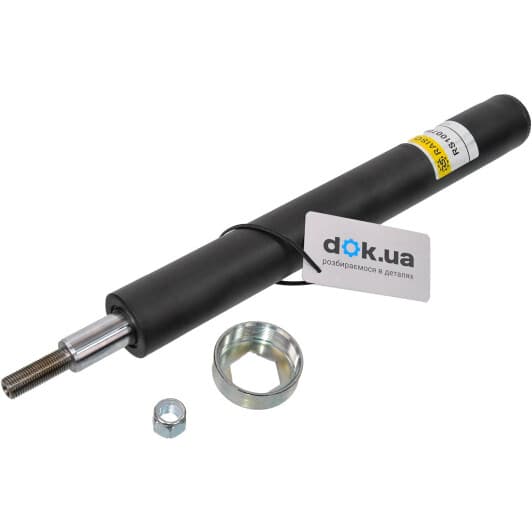 rs100786 RAISO Вкладыш амортизатора