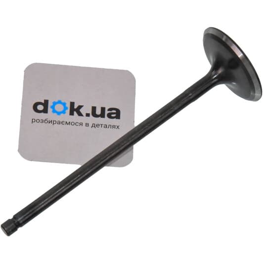 R6811/SNT Freccia Впускний клапан