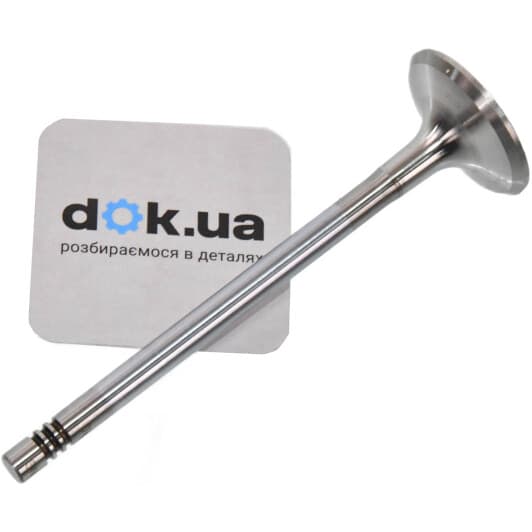 291110 TRW Выпускной клапан