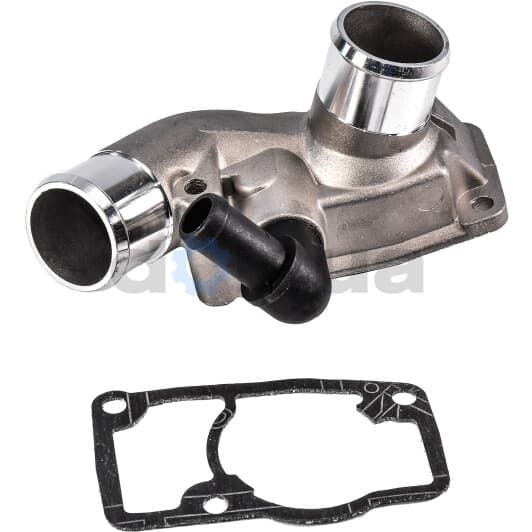 3306048 Sasic Термостат