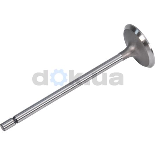 021 VE 30920 000 Mahle Впускной клапан