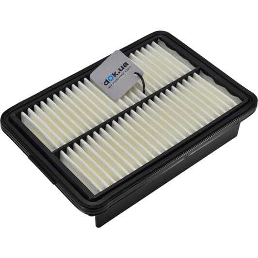 adg022161 Blue Print Повітряний фільтр