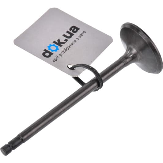 R6615/SNT Freccia Впускний клапан