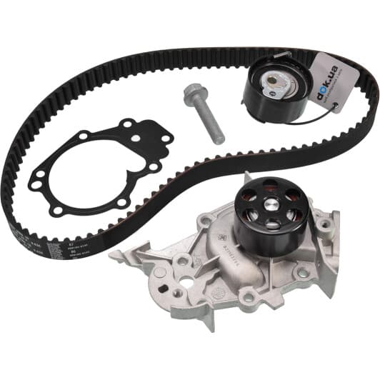 530 0195 30 INA Комплект ремня ГРМ + помпа